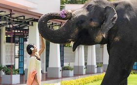 Elephyard Retreat
